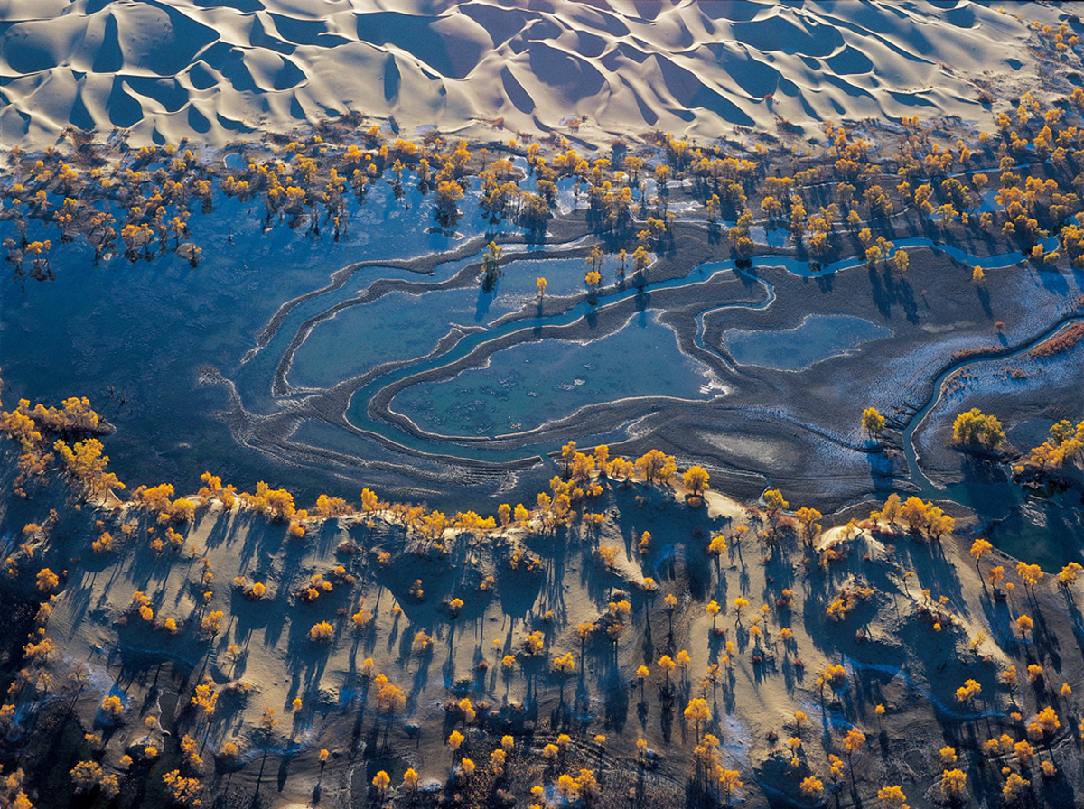 使用大疆精靈3無人機拍攝於中國新疆巴音郭楞蒙古自治州的若羌縣的塔里木河下游，光圈 2.0快門速度 1806焦距 20