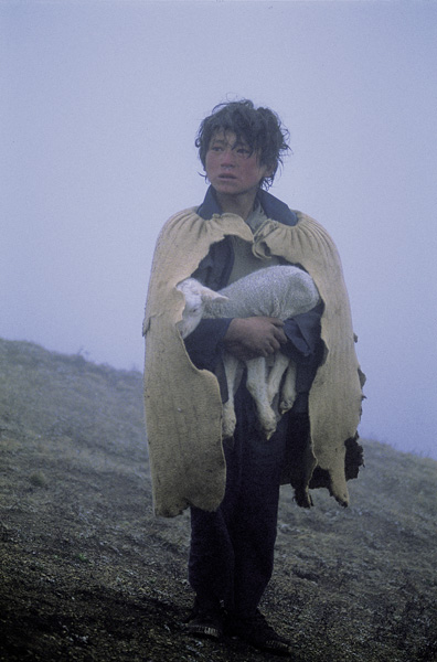 云南昭通，牧童于大雾中抱着小羊
