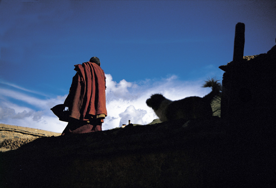 甘丹寺喇嘛与狗。西藏日喀则地区江孜